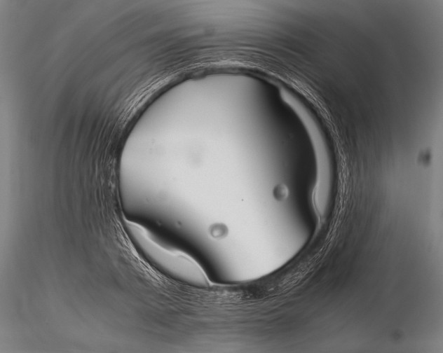 X0000116060793200912111527