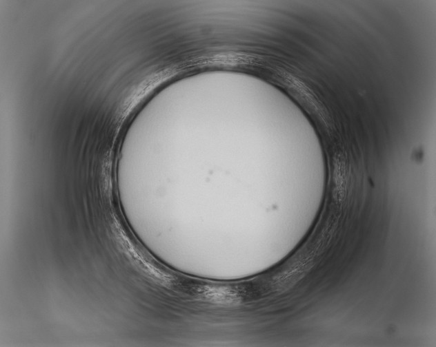 X0000116060794200912111527