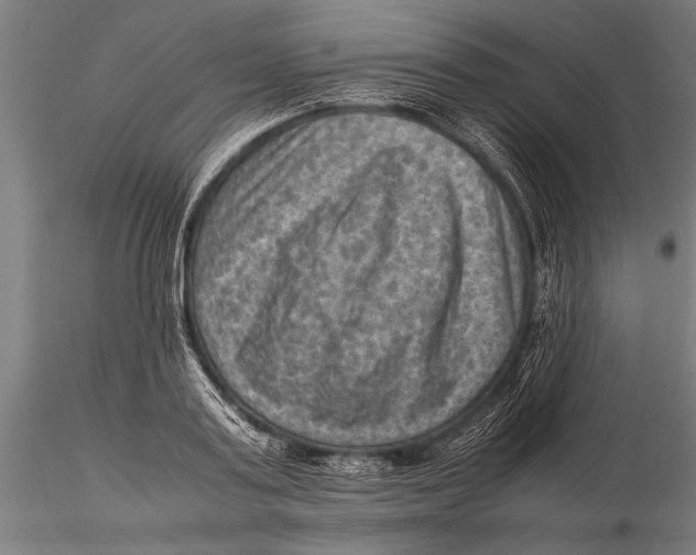 X0000116060795200912111527