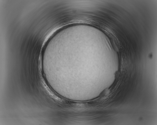 X0000116060796200912111527