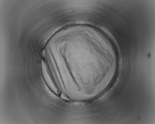 X0000116060801200912111527