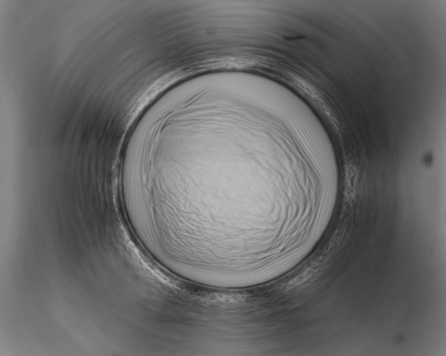 X0000116060802200912111527