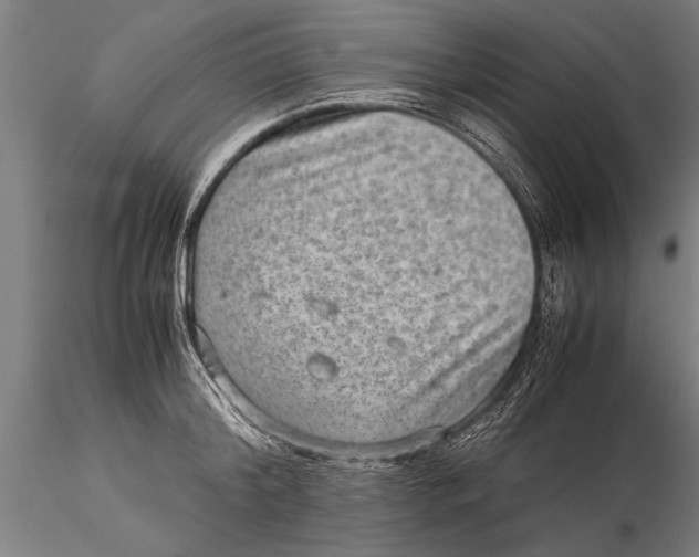 X0000116060804200912111527