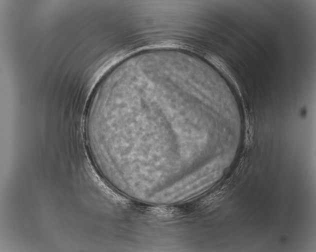 X0000116060805200912111527