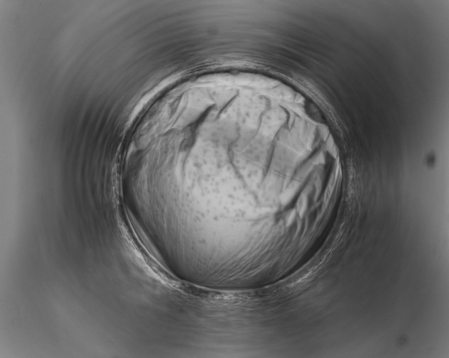 X0000116060806200912111527