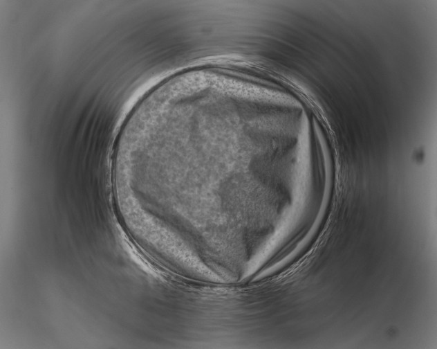 X0000116060808200912111527