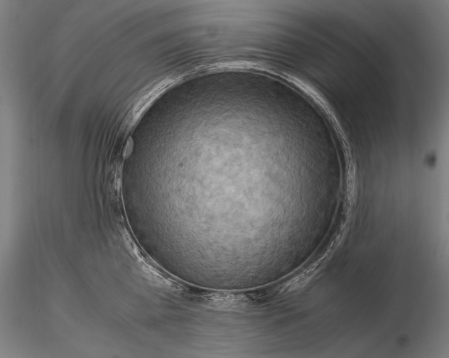 X0000116060809200912111527