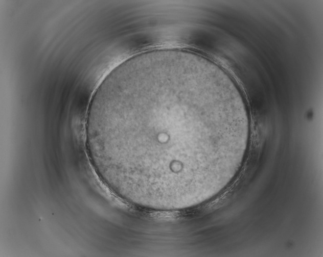 X0000116060810200912111527