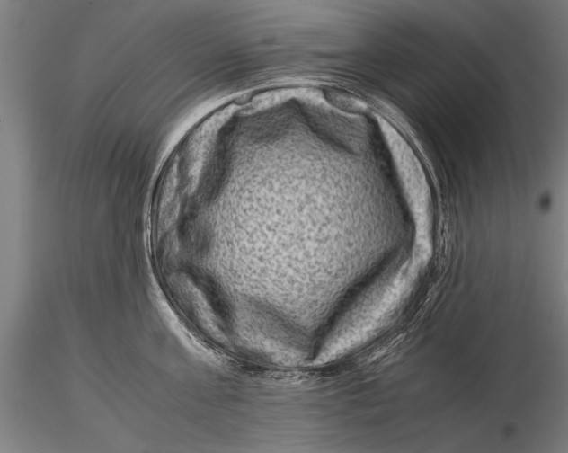 X0000116060811200912111527