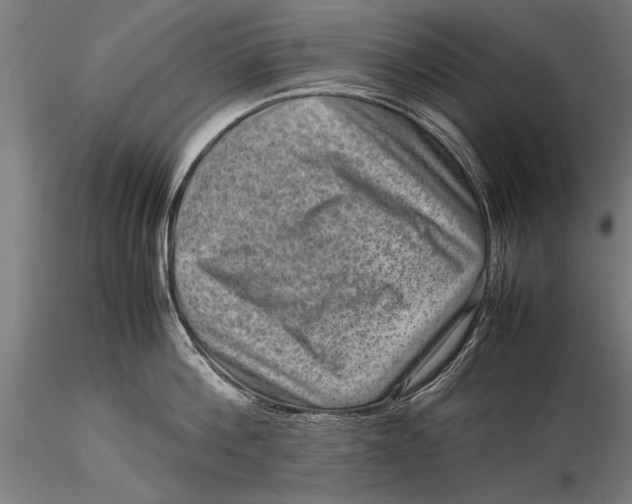 X0000116060812200912111526