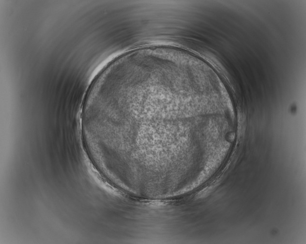 X0000116060814200912111526