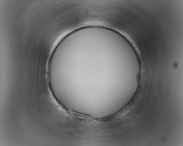 X0000116060815200912111526