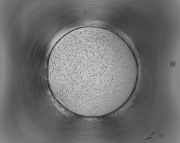 X0000116060816200912111526