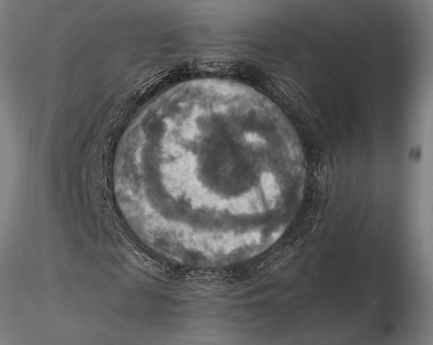 X0000116060817200912111526