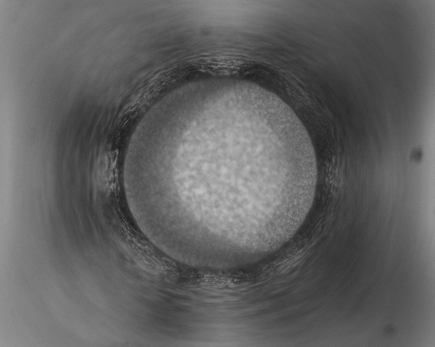 X0000116060818200912111526