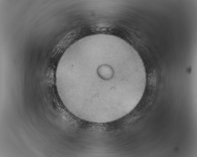 X0000116060820200912111526