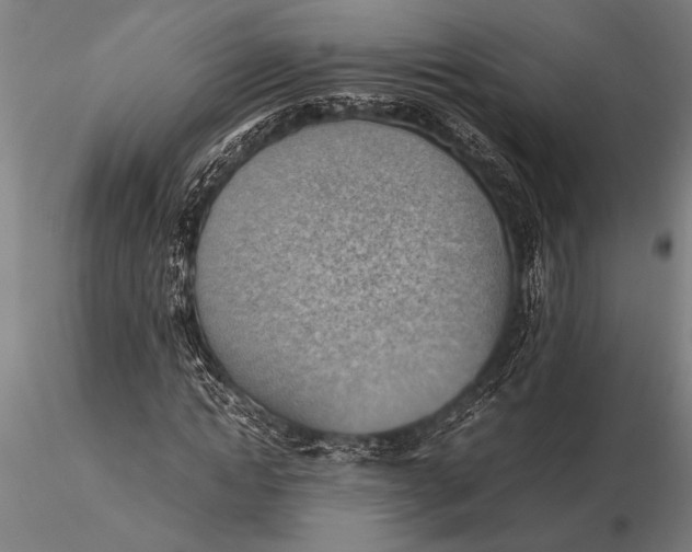 X0000116060822200912111526