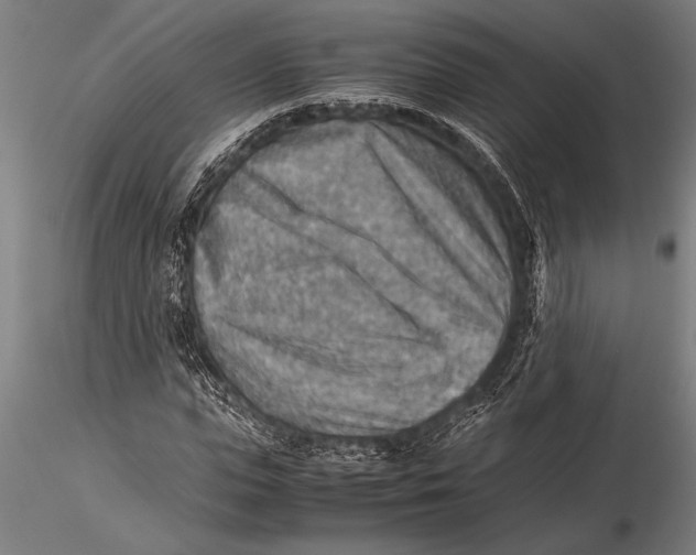 X0000116060823200912111526