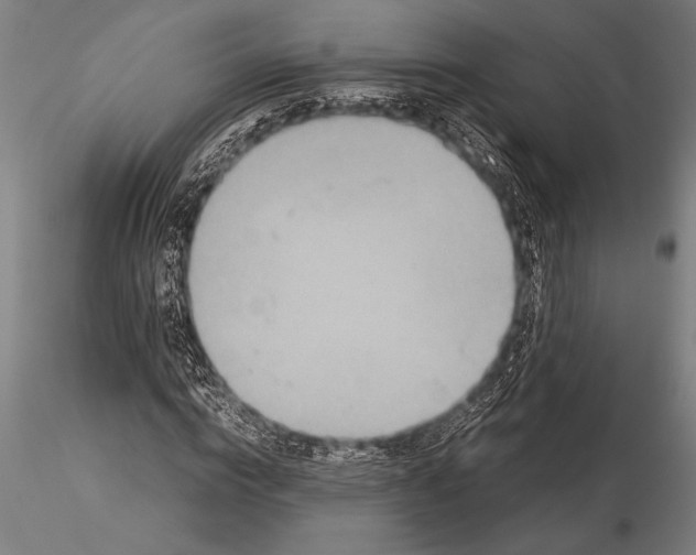 X0000116060824200912111526