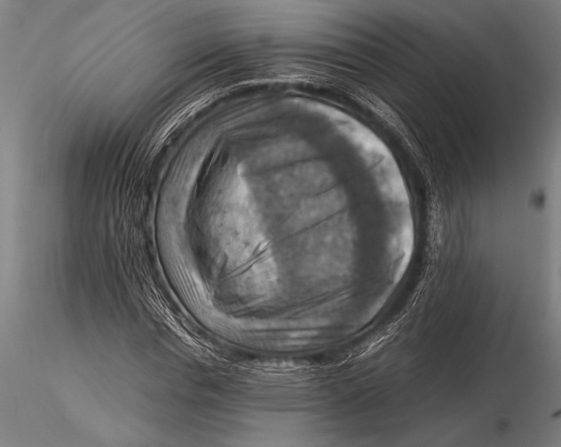 X0000116060826200912111526