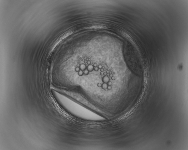 X0000116060827200912111526