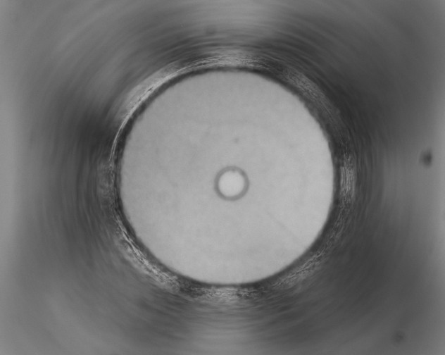 X0000116060828200912111526