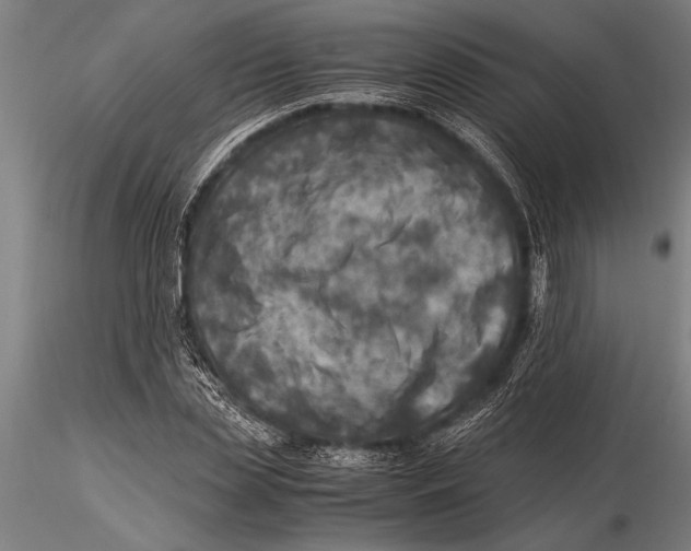 X0000116060829200912111526