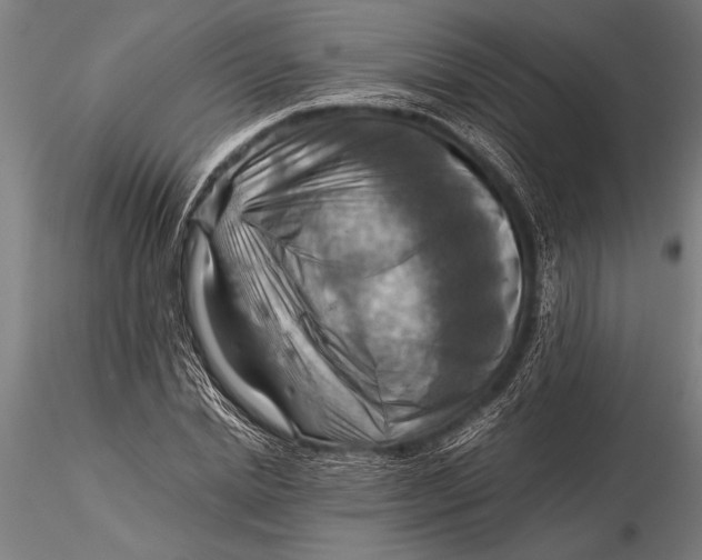 X0000116060830200912111526