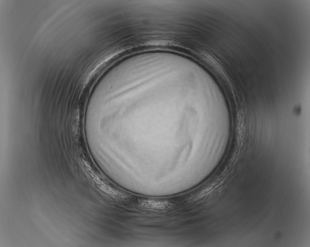 X0000116060831200912111526