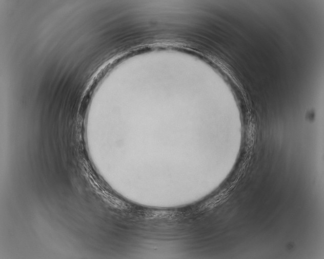 X0000116060832200912111526