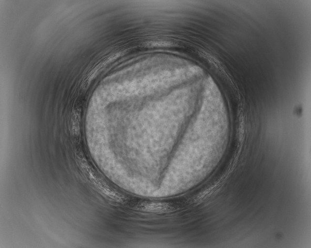 X0000116060833200912111526