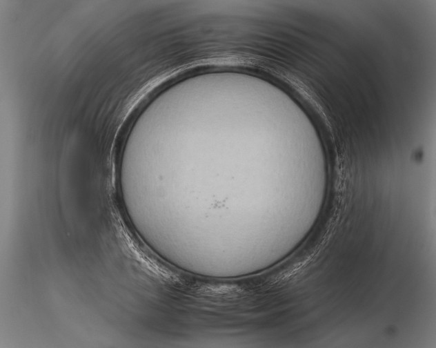 X0000116060837200912111526