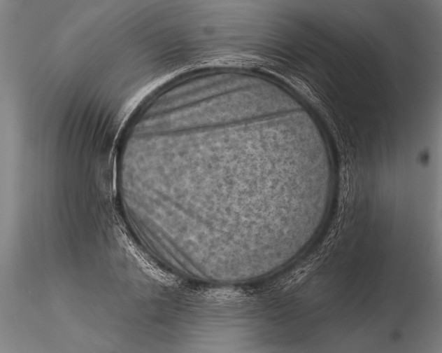 X0000116060838200912111526