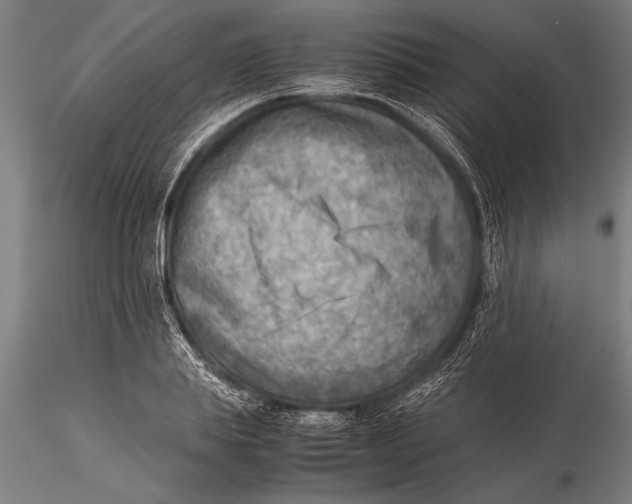 X0000116060839200912111526