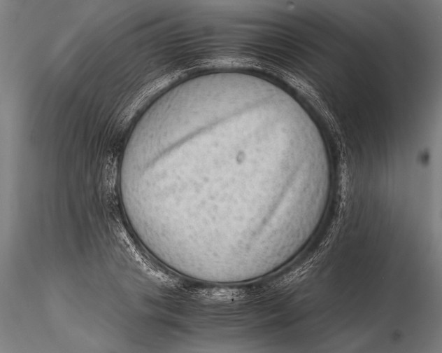 X0000116060841200912111526