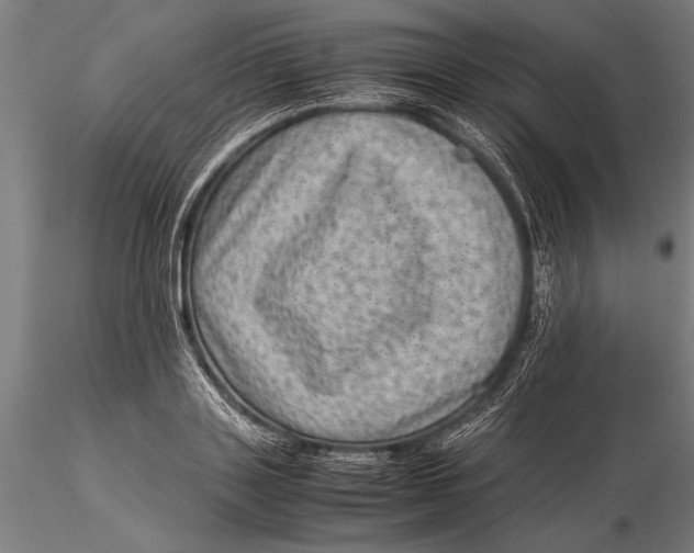 X0000116060843200912111526