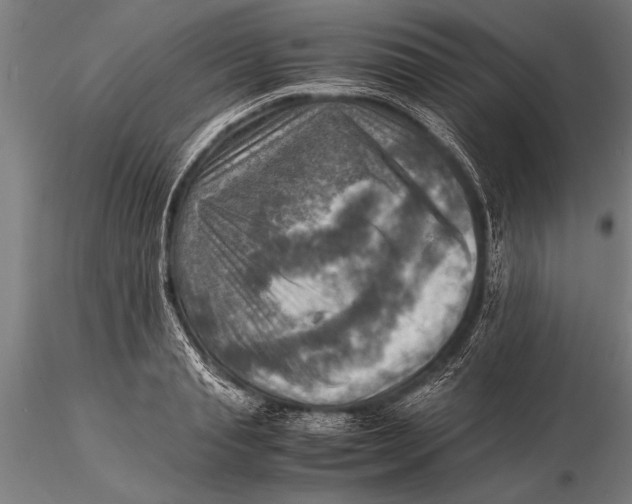 X0000116060845200912111526