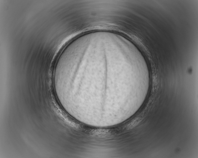 X0000116060846200912111526