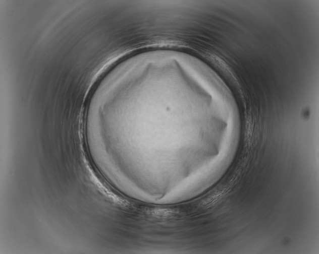 X0000116060847200912111526