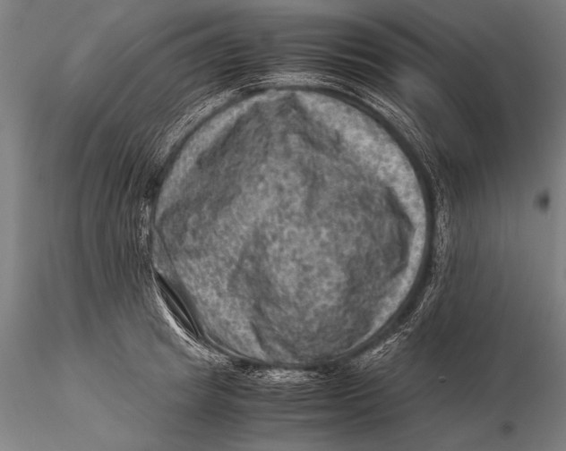 X0000116060849200912111526