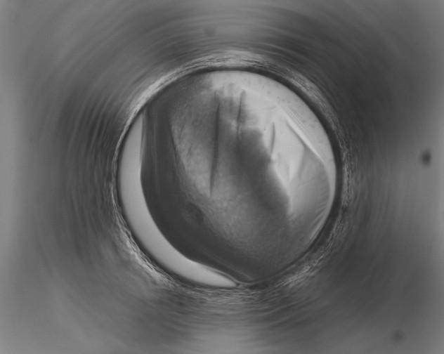 X0000116060850200912111526