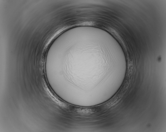 X0000116060851200912111526