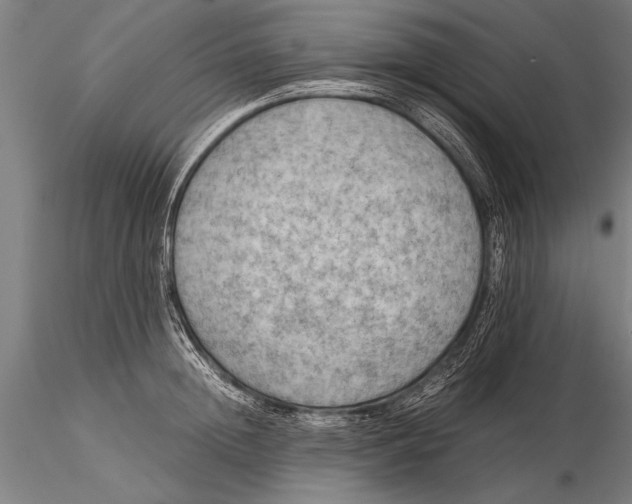 X0000116060852200912111526