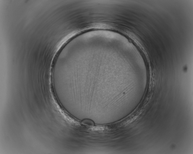 X0000116060853200912111526