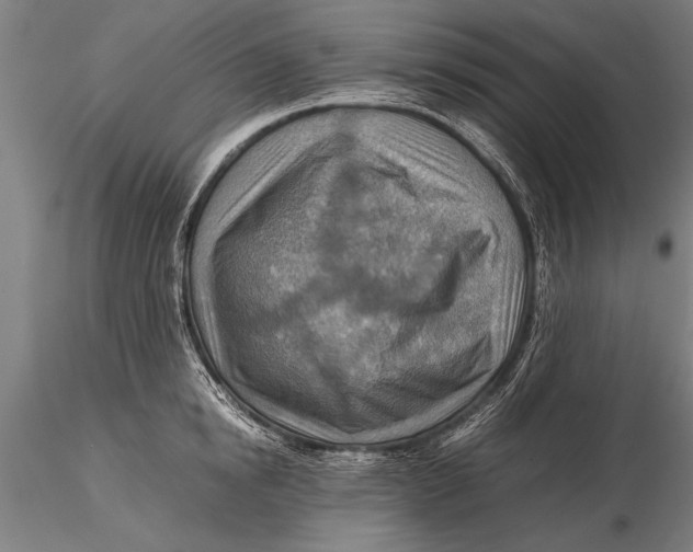 X0000116060854200912111526