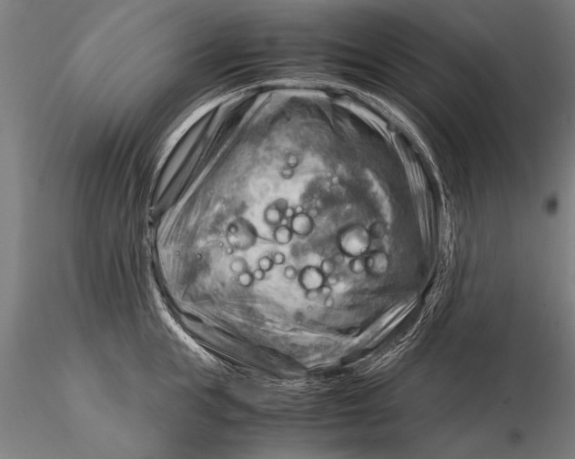 X0000116060855200912111526