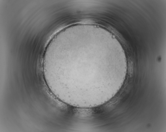 X0000116060856200912111526