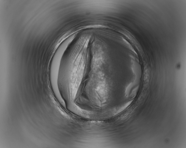 X0000116060858200912111526