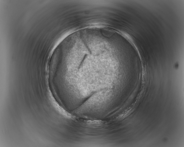 X0000116060859200912111526