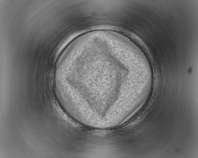 X0000116060860200912111526